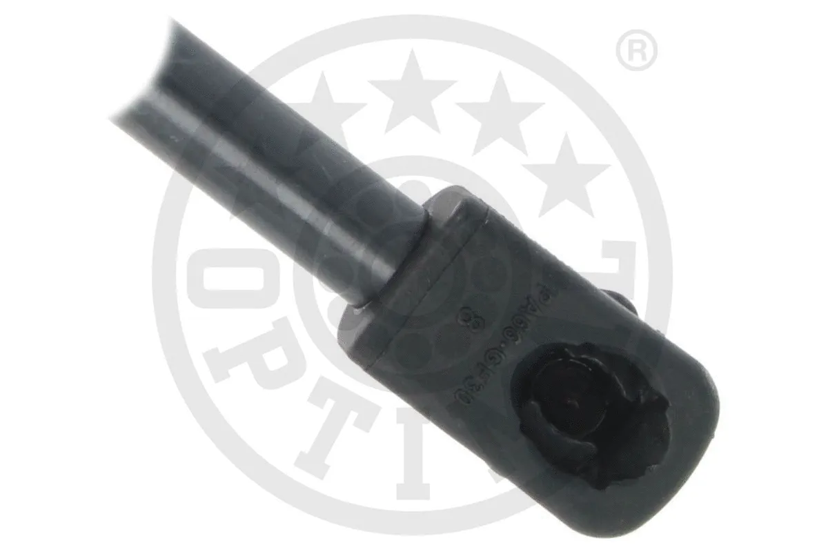 Gas Spring, boot/cargo area