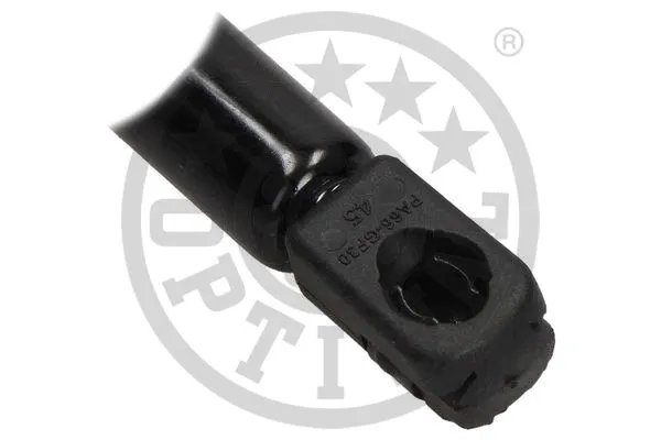 Gas Spring, boot/cargo area