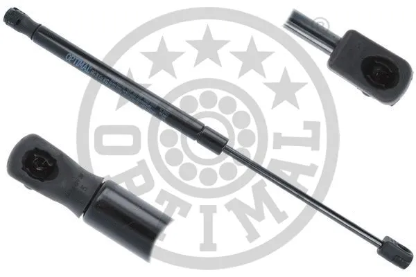 Gas Spring, boot/cargo area (AG-50423)