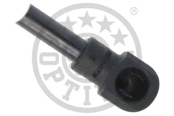 Gas Spring, boot/cargo area