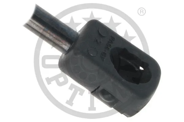 Gas Spring, boot/cargo area