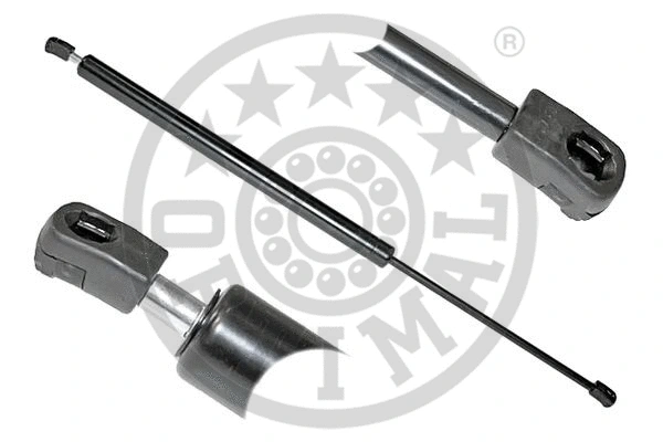 Gas Spring, boot/cargo area (AG-39025)