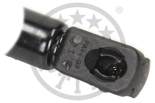Gas Spring, boot/cargo area