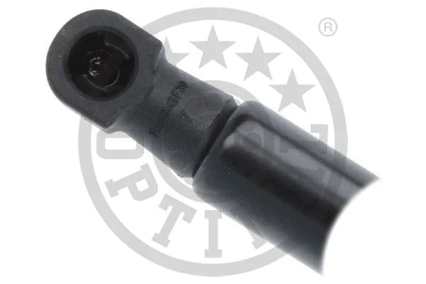 Gas Spring, boot/cargo area