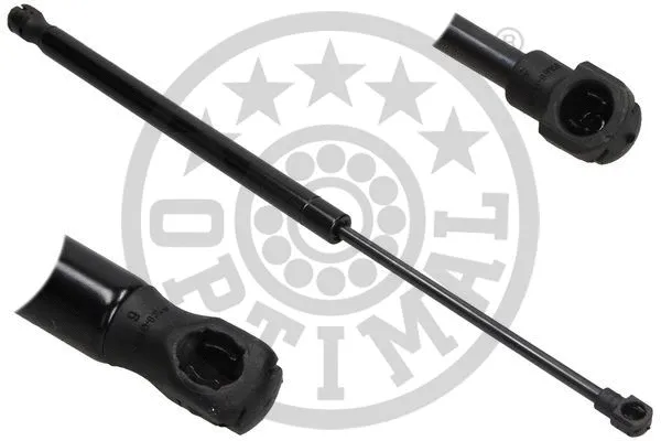 Gas Spring, boot/cargo area (AG-40931)