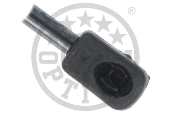 Gas Spring, boot/cargo area