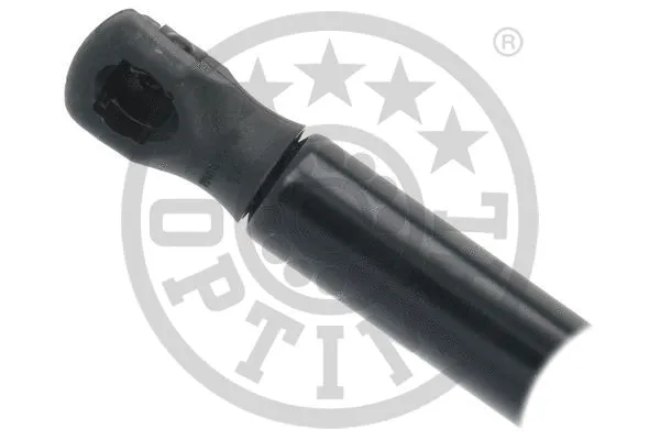 Gas Spring, boot/cargo area