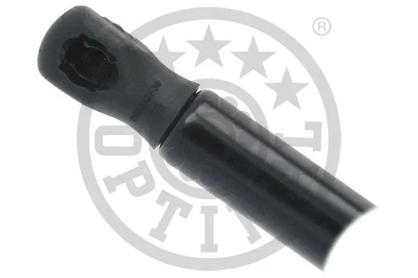 Gas Spring, boot/cargo area