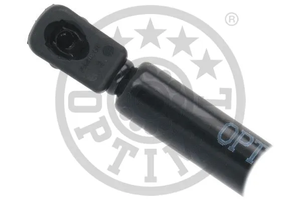 Gas Spring, boot/cargo area
