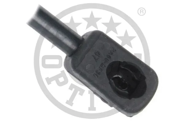 Gas Spring, boot/cargo area
