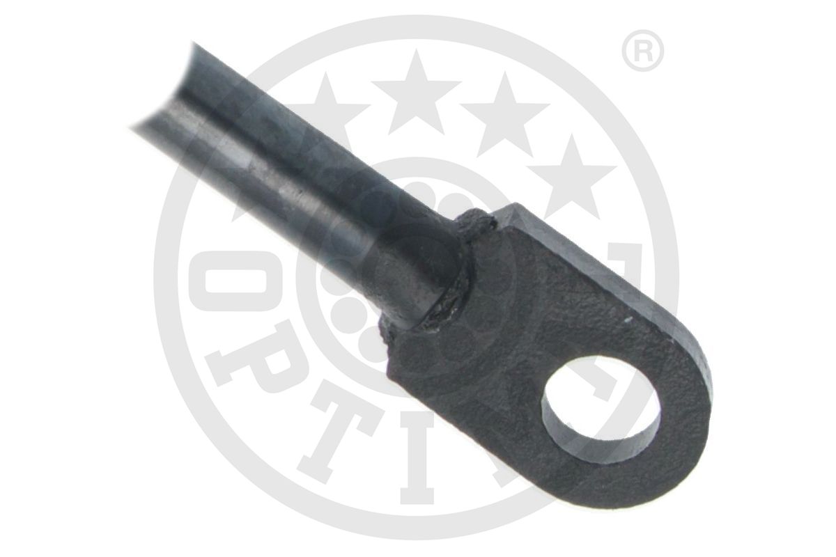 Gas Spring, boot/cargo area
