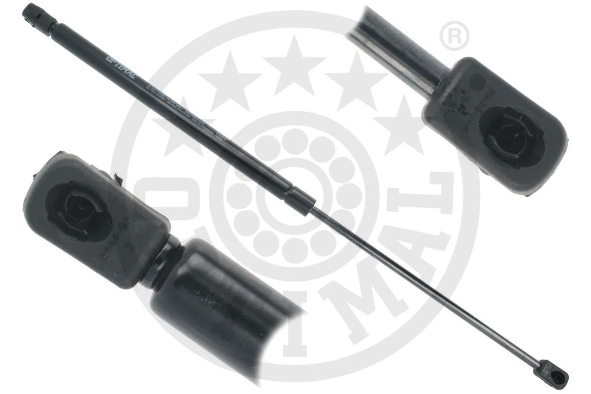 Gas Spring, boot/cargo area (AG-52243)