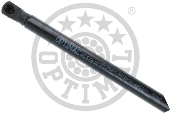Gas Spring, boot/cargo area