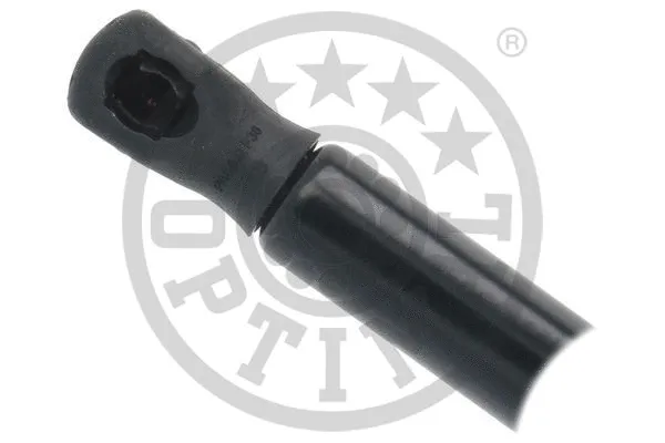 Gas Spring, boot/cargo area