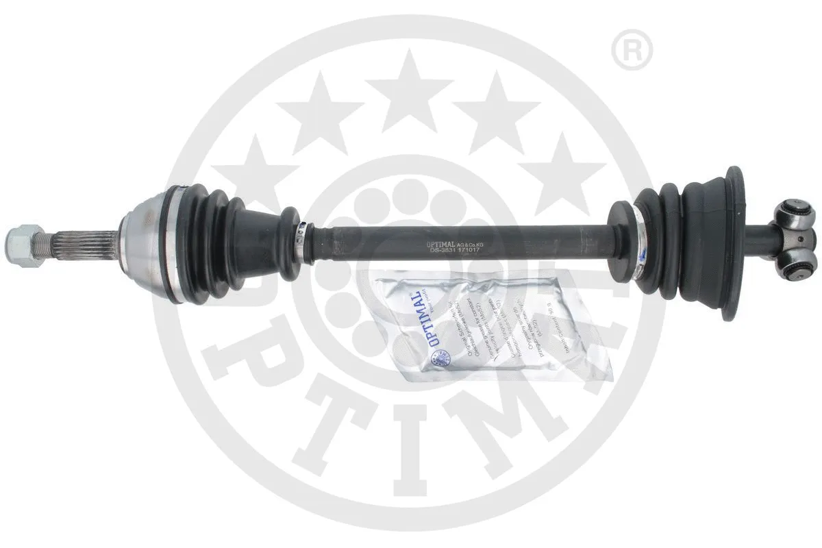 Drive Shaft (DS-3831)