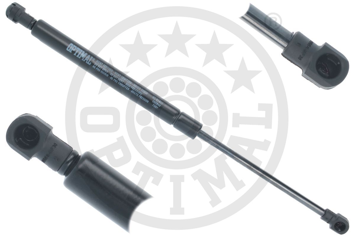 Gas Spring, boot/cargo area (AG-51466)