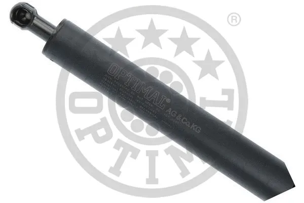 Gas Spring, boot/cargo area