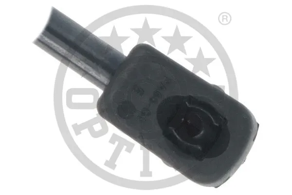 Gas Spring, boot/cargo area