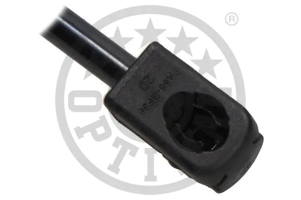 Gas Spring, boot/cargo area