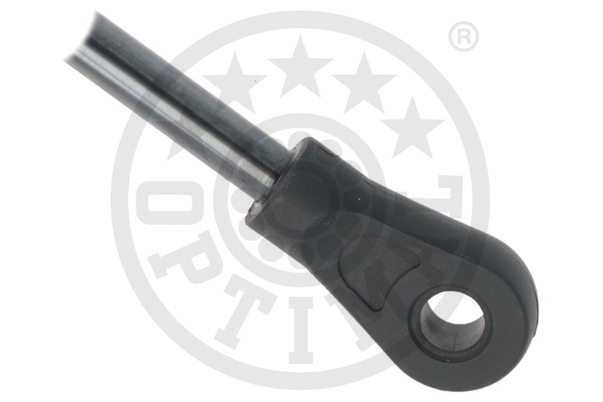 Gas Spring, boot/cargo area