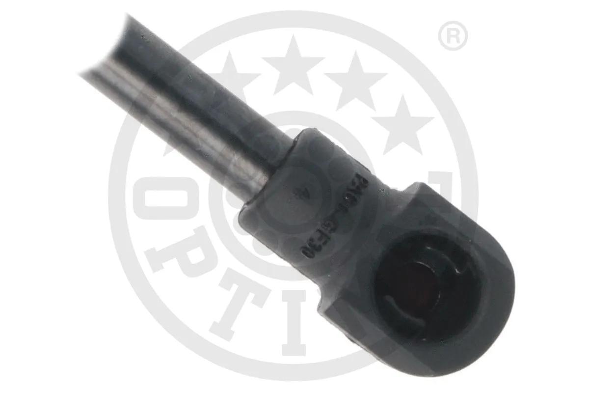 Gas Spring, boot/cargo area