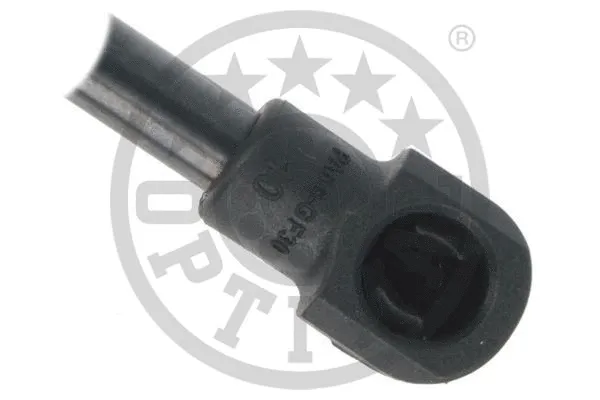 Gas Spring, boot/cargo area