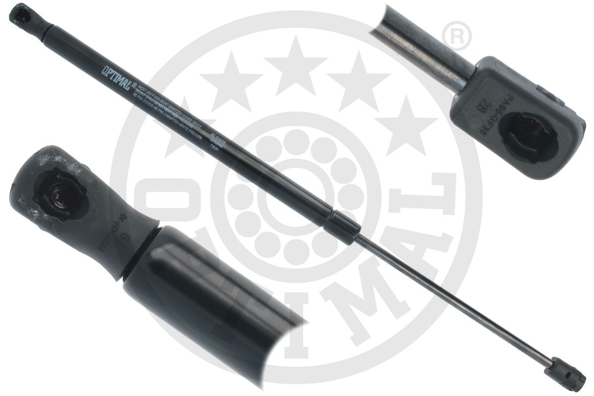 Gas Spring, boot/cargo area (AG-50695)