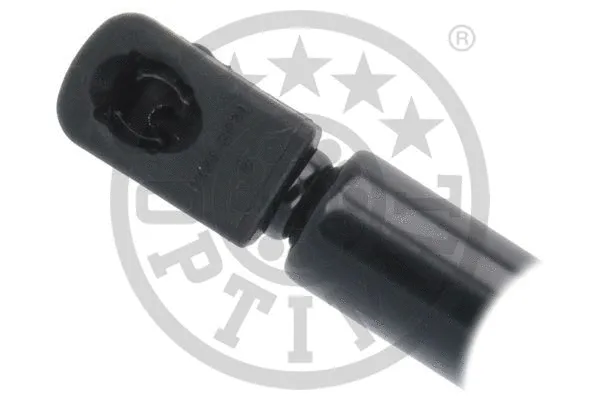 Gas Spring, boot/cargo area
