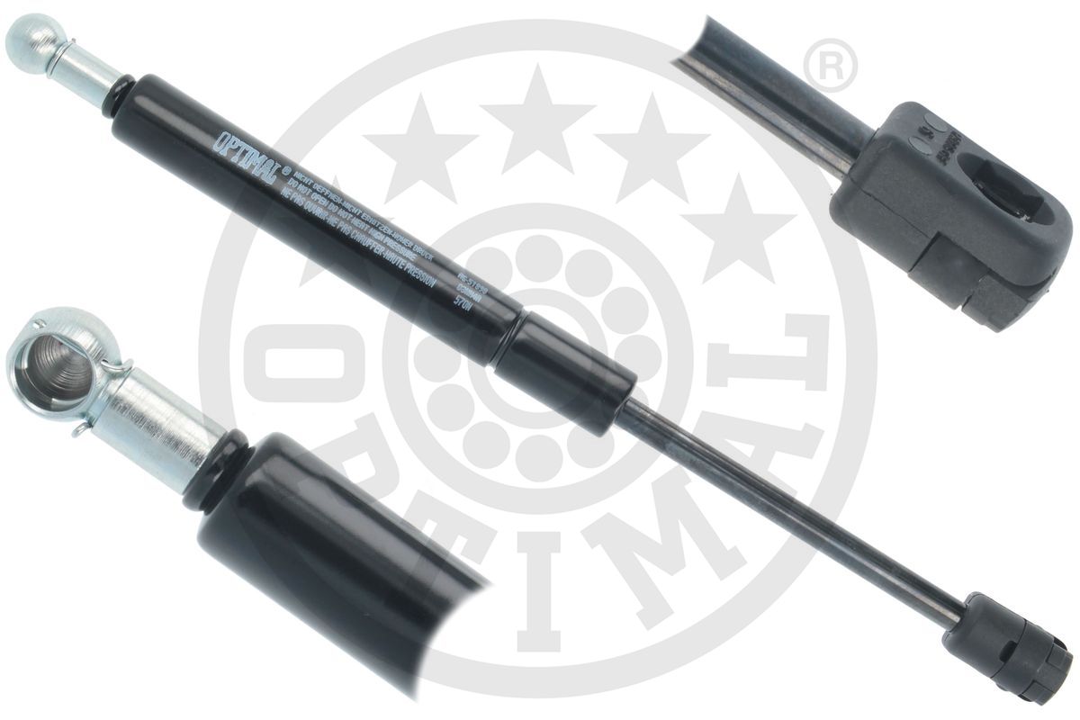 Gas Spring, boot/cargo area (AG-51898)