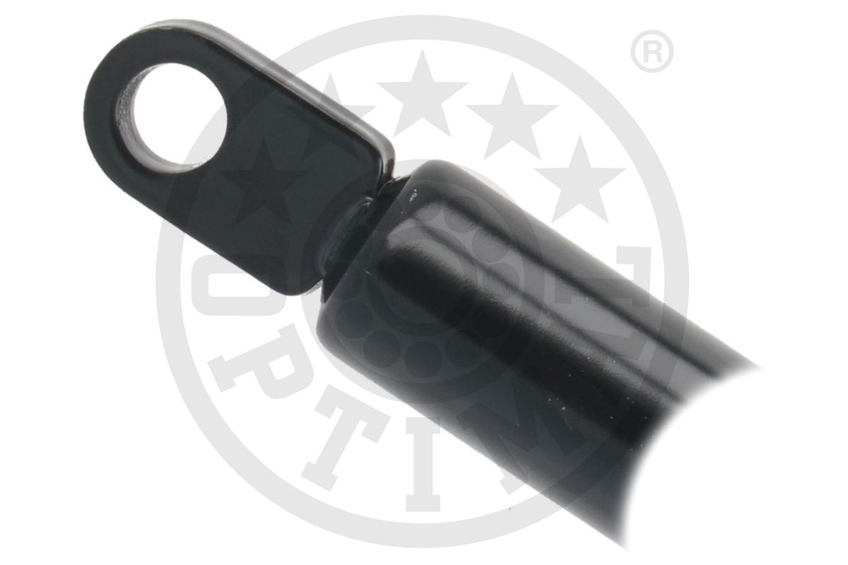 Gas Spring, boot/cargo area