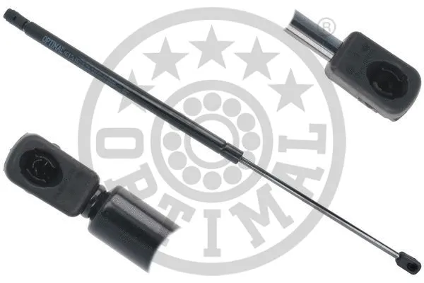 Gas Spring, boot/cargo area (AG-50401)