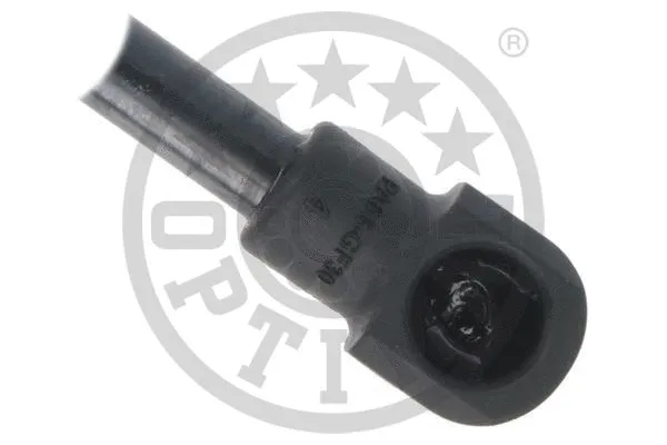 Gas Spring, boot/cargo area