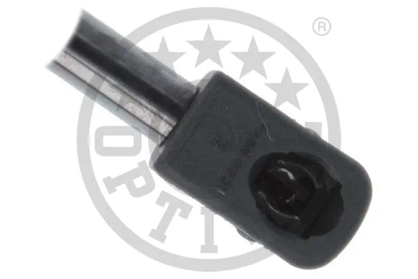 Gas Spring, boot/cargo area