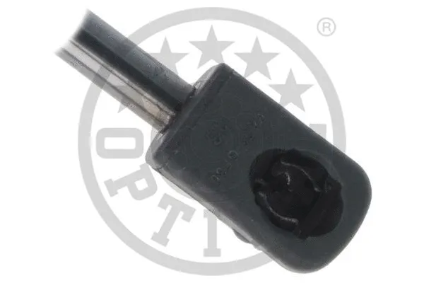 Gas Spring, boot/cargo area