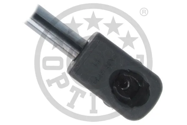 Gas Spring, bonnet