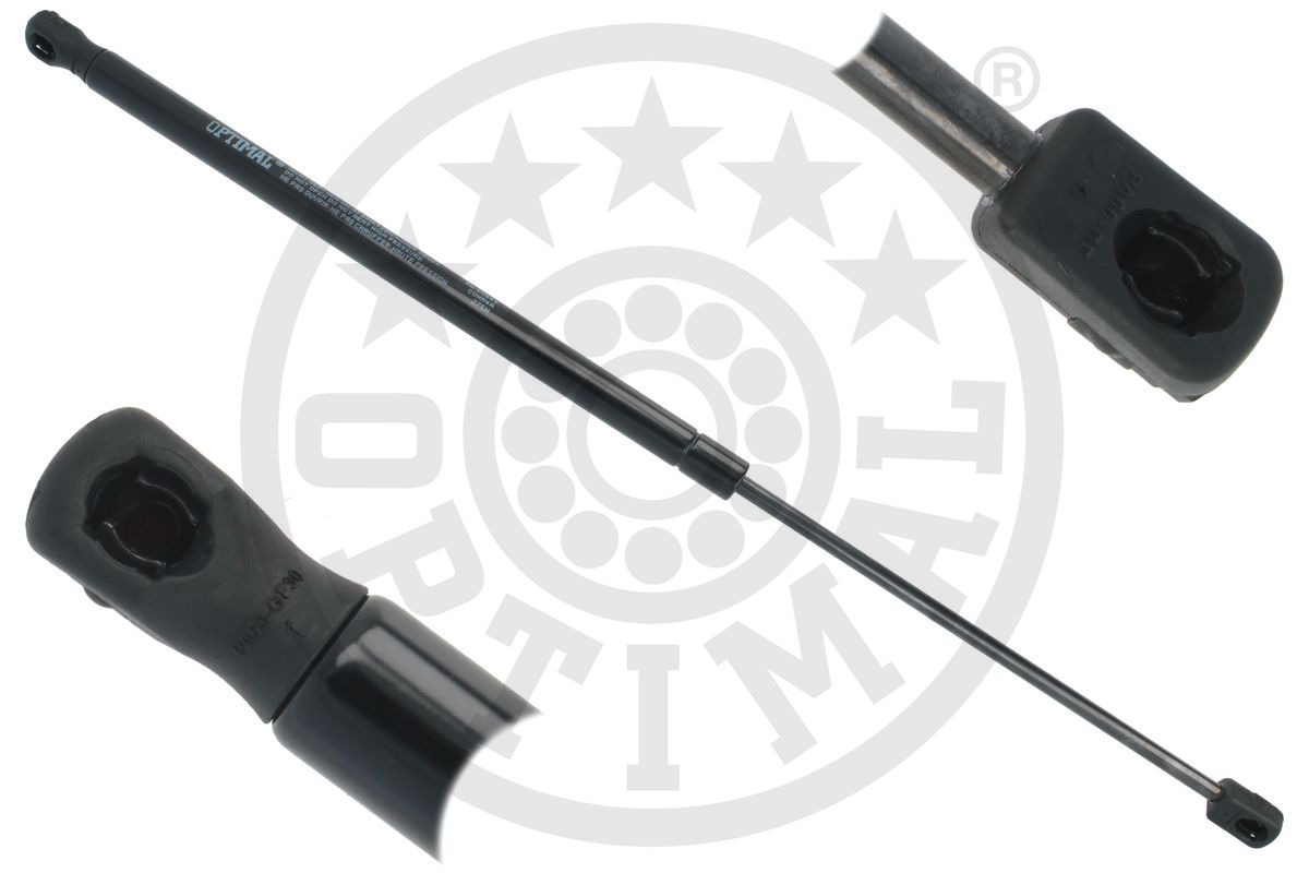 Gas Spring, boot/cargo area (AG-50649)