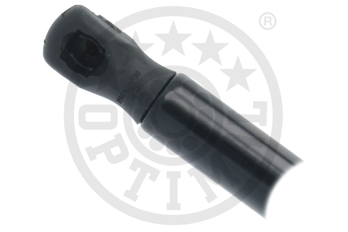 Gas Spring, boot/cargo area