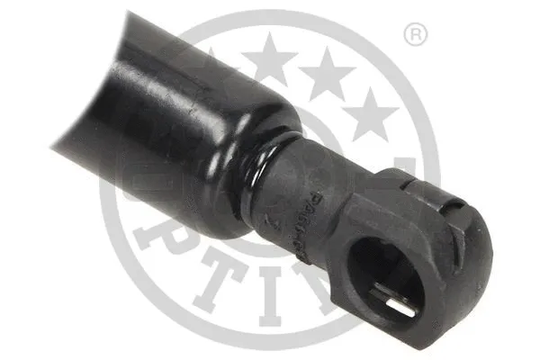 Gas Spring, boot/cargo area