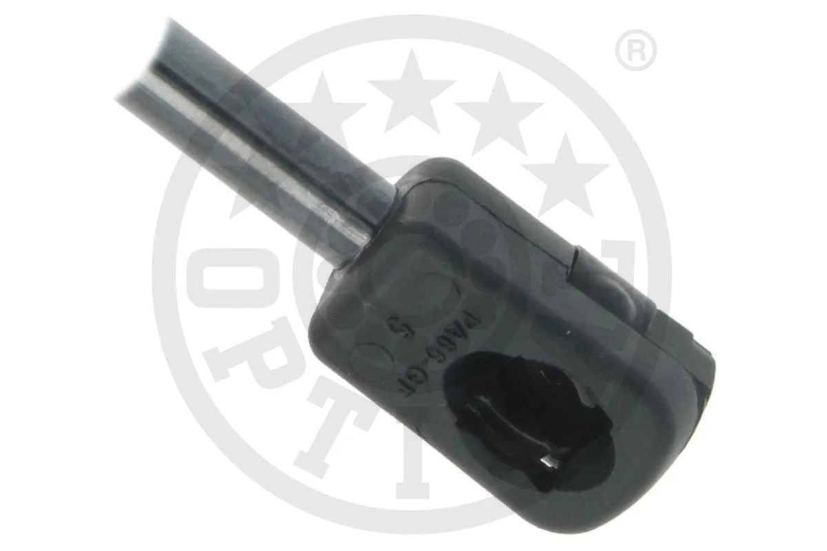 Gas Spring, boot/cargo area
