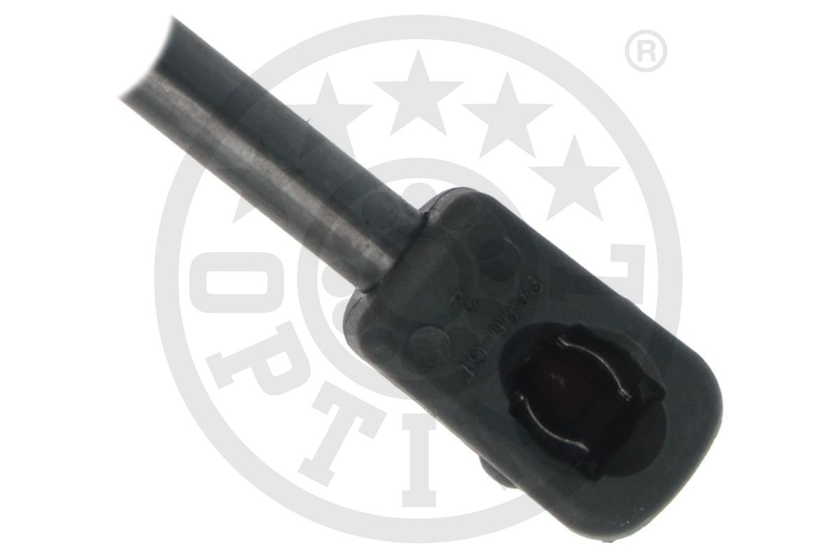 Gas Spring, boot/cargo area