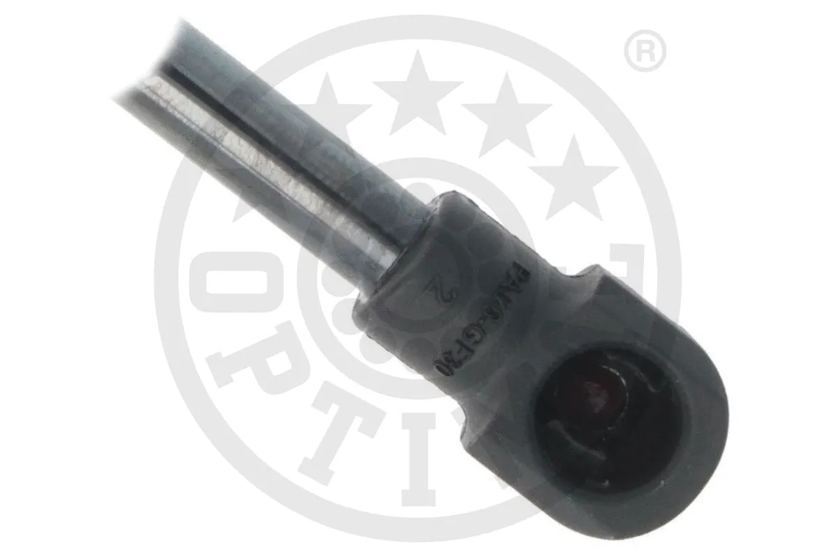 Gas Spring, boot/cargo area