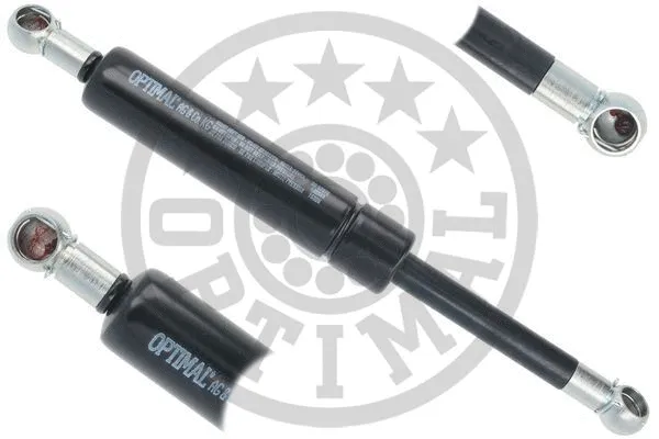 Gas Spring, boot/cargo area (AG-51072)