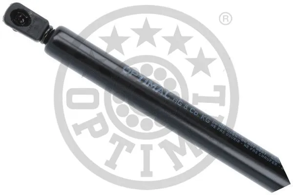 Gas Spring, boot/cargo area