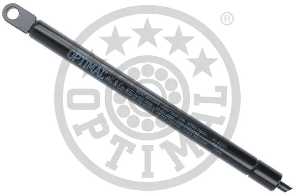 Gas Spring, bonnet