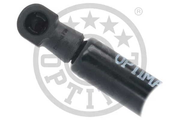 Gas Spring, boot/cargo area