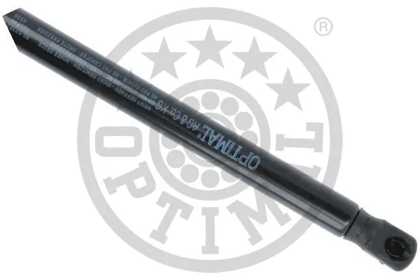 Gas Spring, boot/cargo area