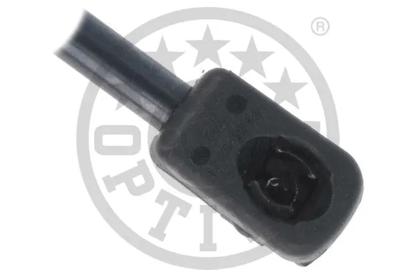 Gas Spring, boot/cargo area
