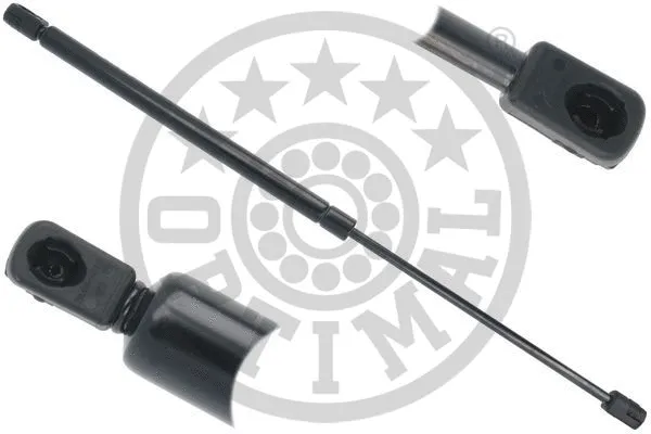 Gas Spring, boot/cargo area (AG-51865)
