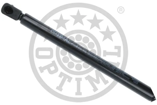 Gas Spring, boot/cargo area