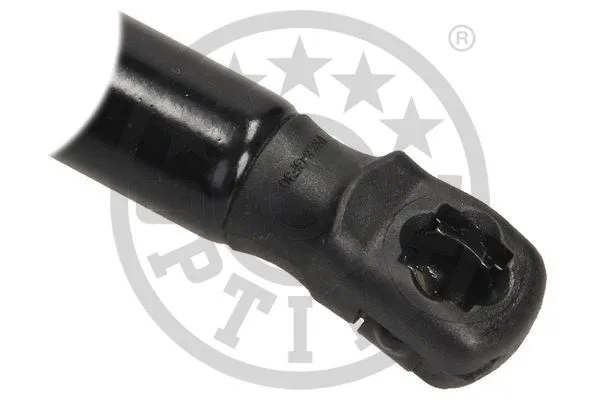 Gas Spring, boot/cargo area